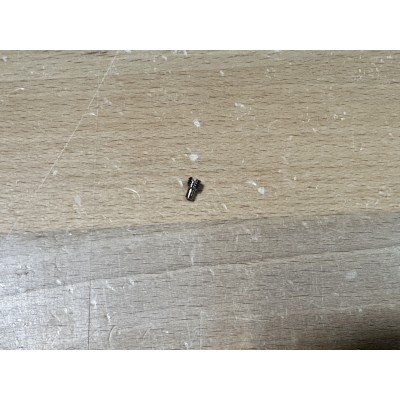 Needle Screw